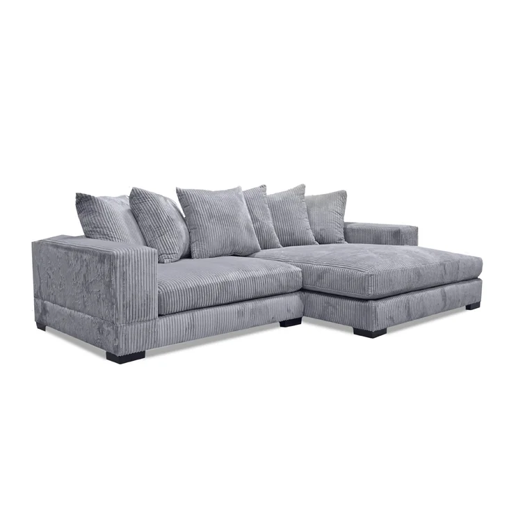 Luxe 2 - Piece Upholstered Affordable Sectional Couch