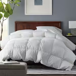 Quince Premium White Down Alternative Comforter